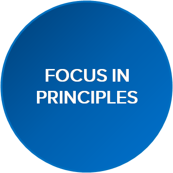Focus in Principles