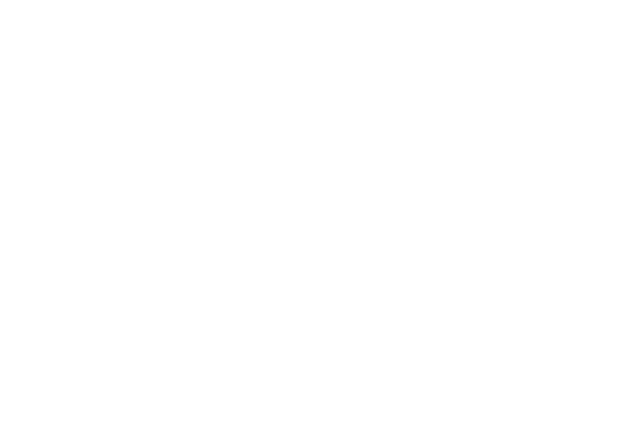 ALFRA Consulting Logo White 2015